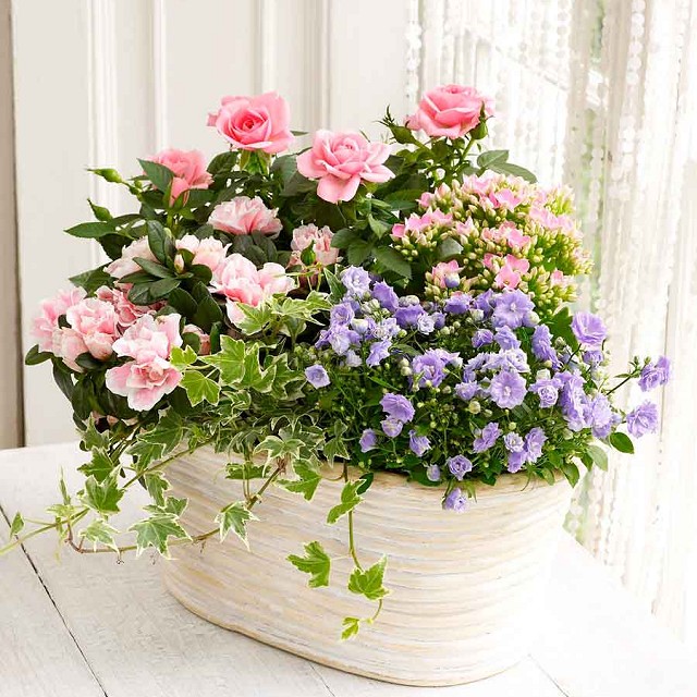 Foto Cesta de rosas y flores variadas