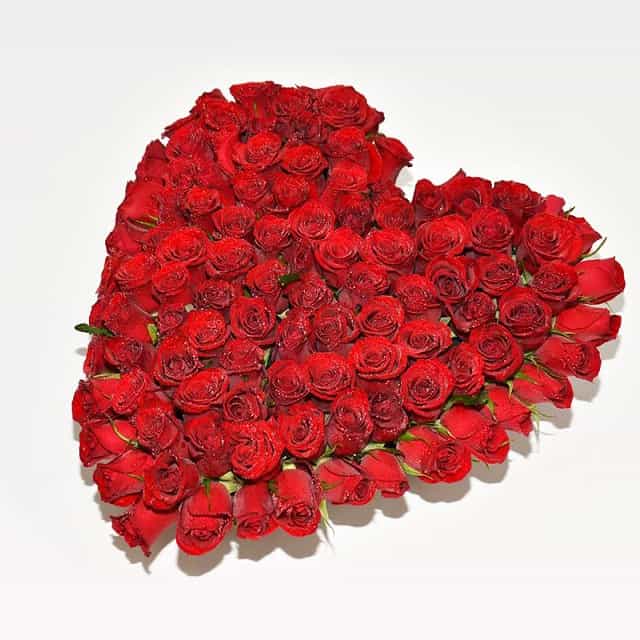 Foto Corazón de rosas