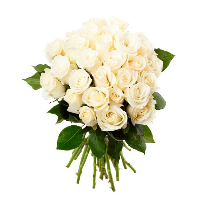 Foto Ramo 24 Rosas Blancas