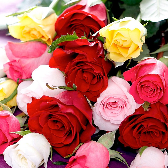 Foto Ramo Rosas de Colores