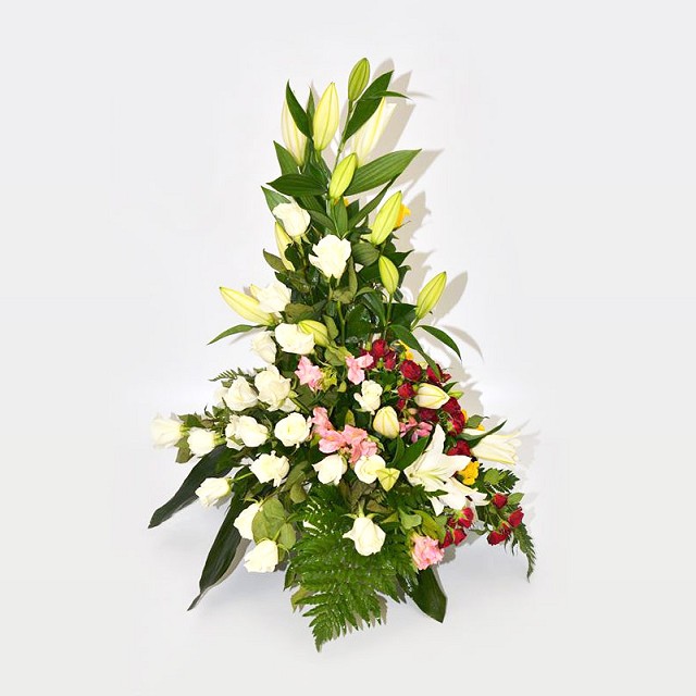 Foto Tarrina de flores